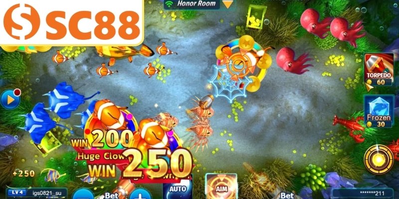 Ngư trường thiết lập vũ khí phong phú