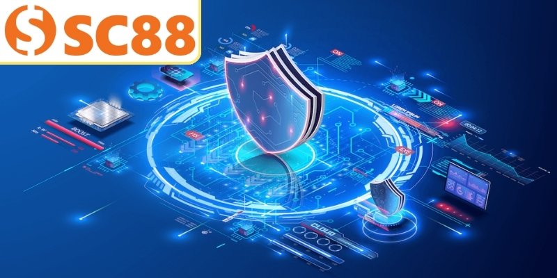 Nhà cái thu thập thông tin