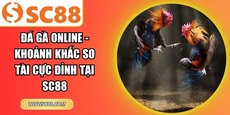Đá gà online